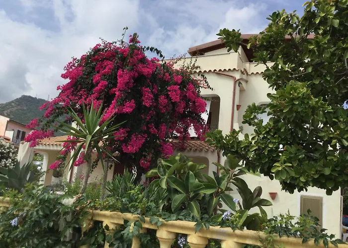 Bouganville Valledoria